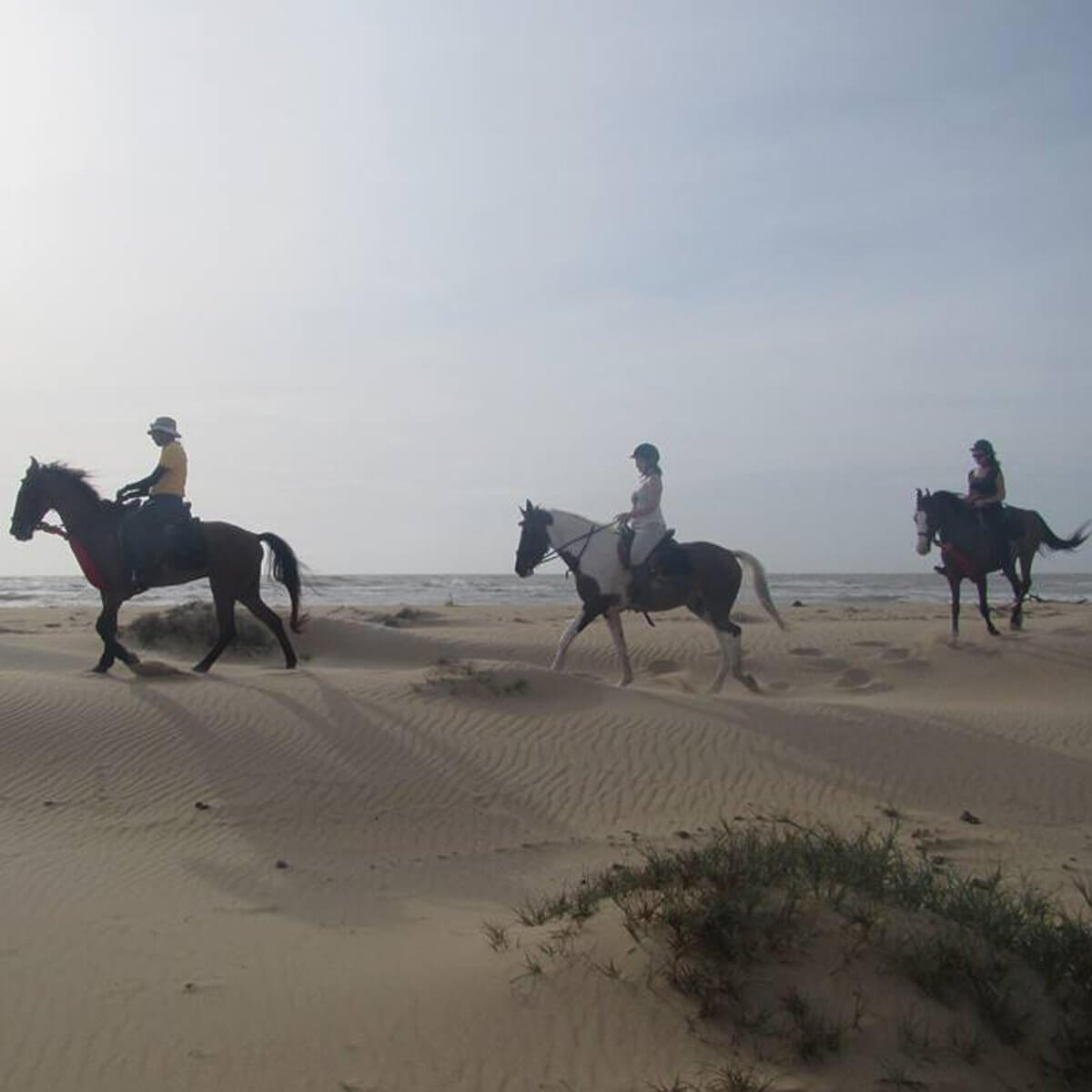 Sunset | Ceylon horse trails